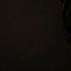 Meet your Posher, Meredith